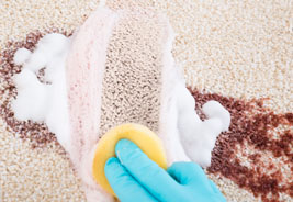 wet carpet S